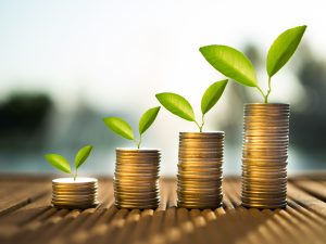 coins and money growing plant for finance and banking, saving money or interest increasing concept