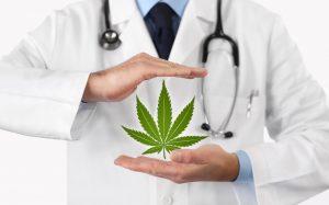 doctor hands with marijuana symbol medical concept